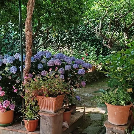 Dei Fiori Couette-café 3*