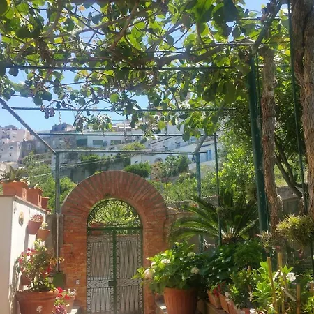 Dei Fiori לינה וארוחת בוקר
