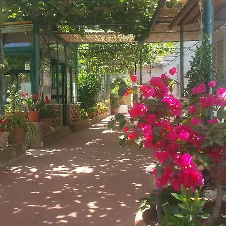 Dei Fiori לינה וארוחת בוקר קאפרי