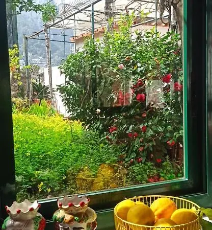 Dei Fiori * קאפרי