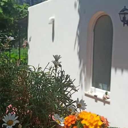 Dei Fiori קאפרי