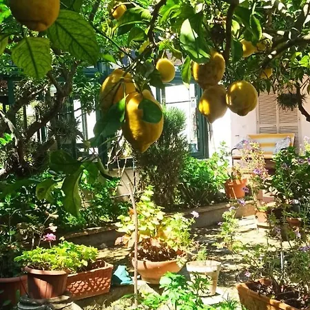 Dei Fiori לינה וארוחת בוקר קאפרי