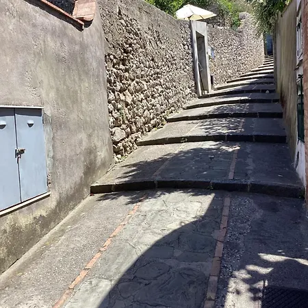 Bed & Breakfast Dei Fiori 3*