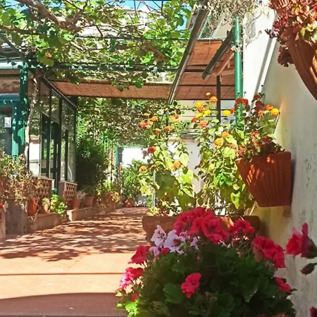 לינה וארוחת בוקר Dei Fiori קאפרי