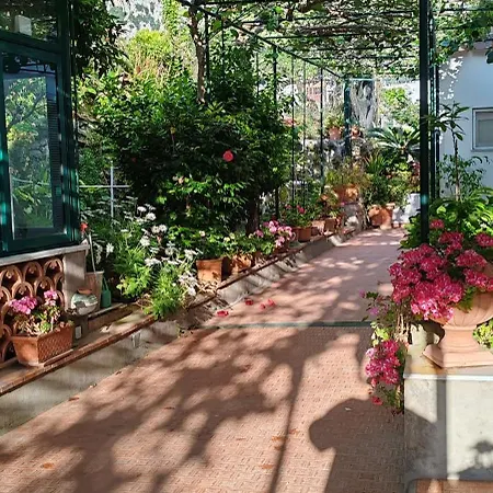 Dei Fiori קאפרי