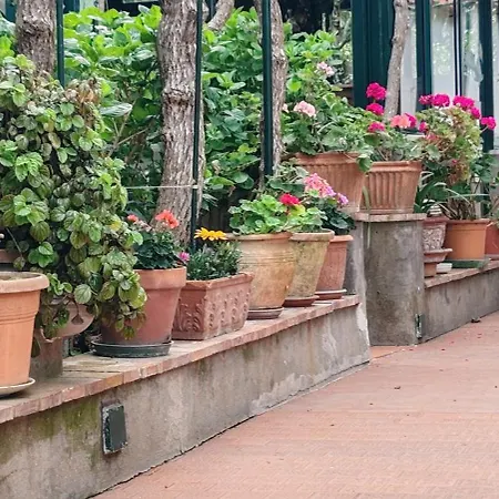 Dei Fiori Отель типа 