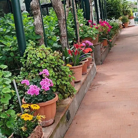 לינה וארוחת בוקר Dei Fiori 3*