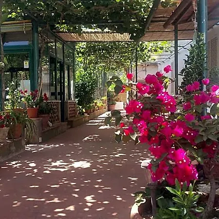 לינה וארוחת בוקר Dei Fiori קאפרי