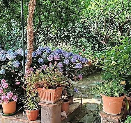Dei Fiori 3*
