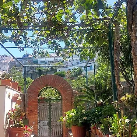 Dei Fiori Capri