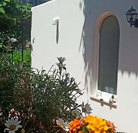 Bed & Breakfast Dei Fiori 3*
