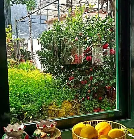 Dei Fiori לינה וארוחת בוקר 3*