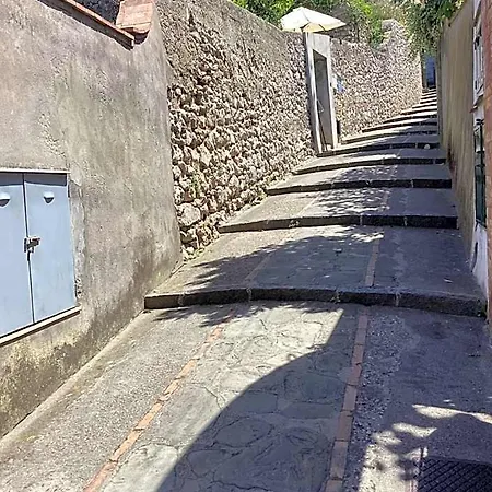 Dei Fiori