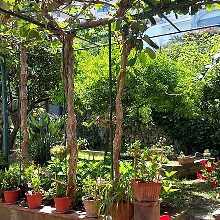 Dei Fiori 3*