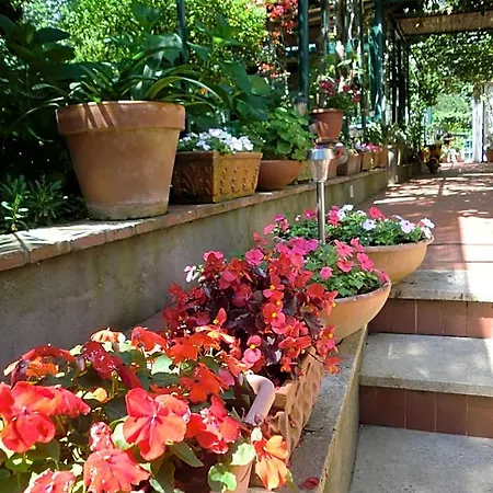 לינה וארוחת בוקר Dei Fiori קאפרי