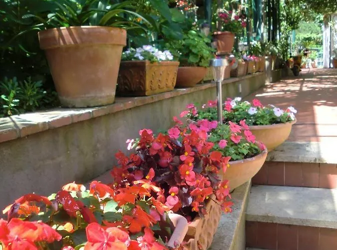 Dei Fiori 住宿加早餐酒店