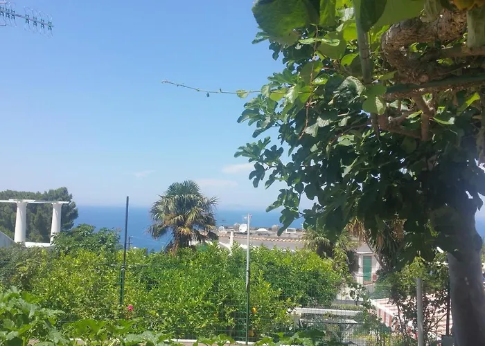 住宿加早餐酒店 Dei Fiori 3*