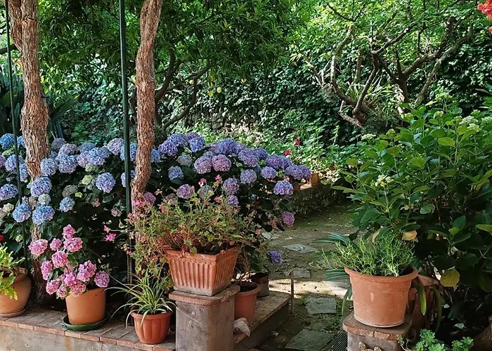 Dei Fiori 住宿加早餐酒店 3*