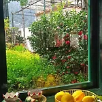 Dei Fiori 3* Capri