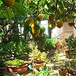Dei Fiori فندق مبيت وإفطار كابري
