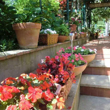 Dei Fiori Bed & Breakfast