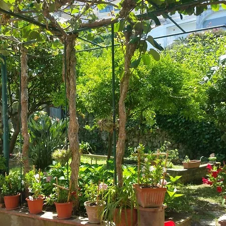 Dei Fiori 3*