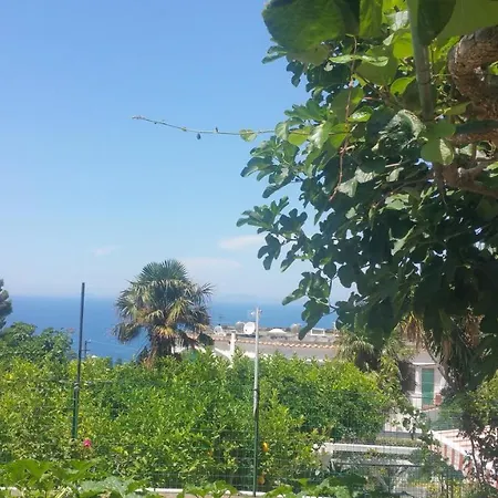 Bed & Breakfast Dei Fiori 3*