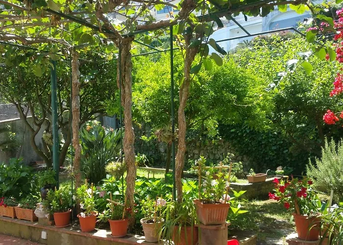 Dei Fiori 3*