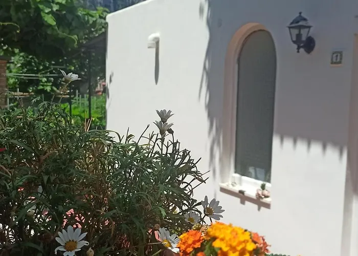 Dei Fiori Capri