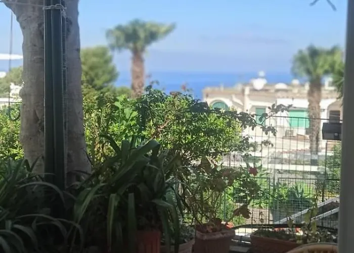 Dei Fiori Bed & Breakfast