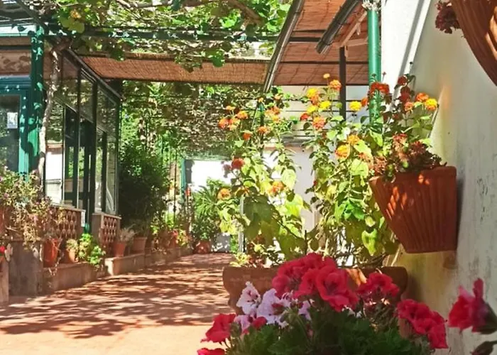 Bed & Breakfast Dei Fiori Capri