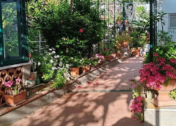 Dei Fiori Capri